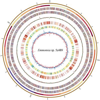 Genomics and Comparative Genomic Analyses Provide Insight into the Taxonomy and Pathogenic Potential of Novel Emmonsia Pathogens